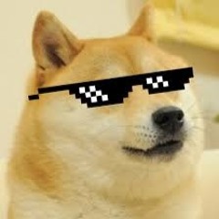 lord dawg