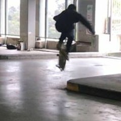 Nick Apollonio