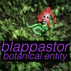 blap pastor