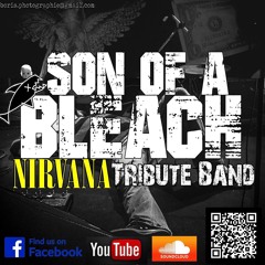 Son of a Bleach Nirvana tribute band
