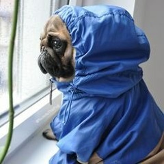 New private playlist