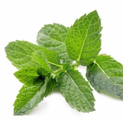 lil peppermint spice