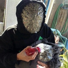Lil Kush