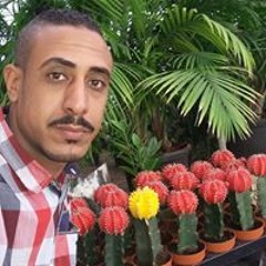 سيد فتحي