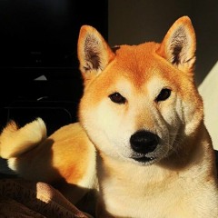 Chirσ