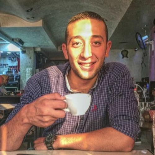 محمد عبد السلام حمدى الايه