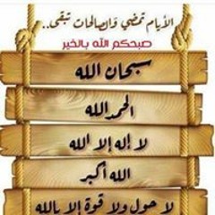 الصقر شاهين