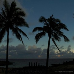 STREET RUNNER PHRESH