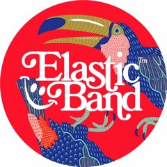 Elastic band
