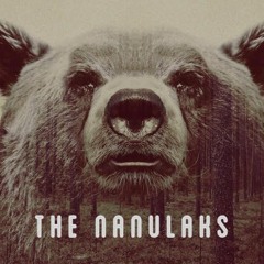 The Nanulaks