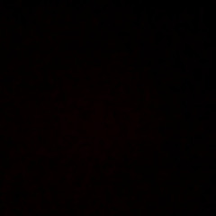 SCP:SL Announcement