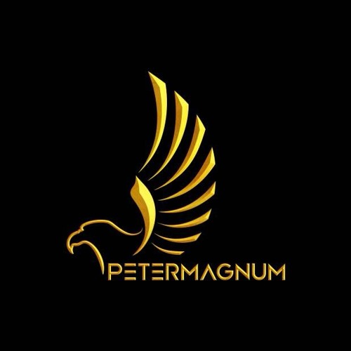 PETERMAGNUM™’s avatar