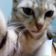 Nhật Thắng
