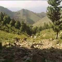 Umar Pti