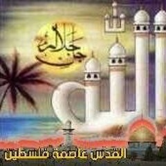 mohamed ali