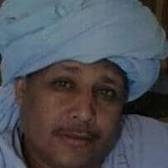 شريف ابوحسن