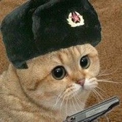 NekoSūpu 猫のスープ