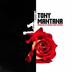TONY MANTANA
