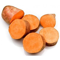 orange_root_vegetable