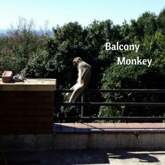 Balcony Monkey