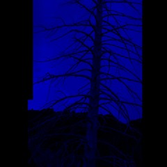 Resonance Of The Spirit