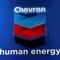 Y3 Aka Chevron