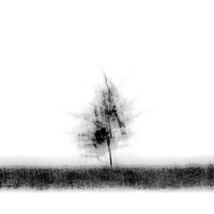 Joris Graaf Photography