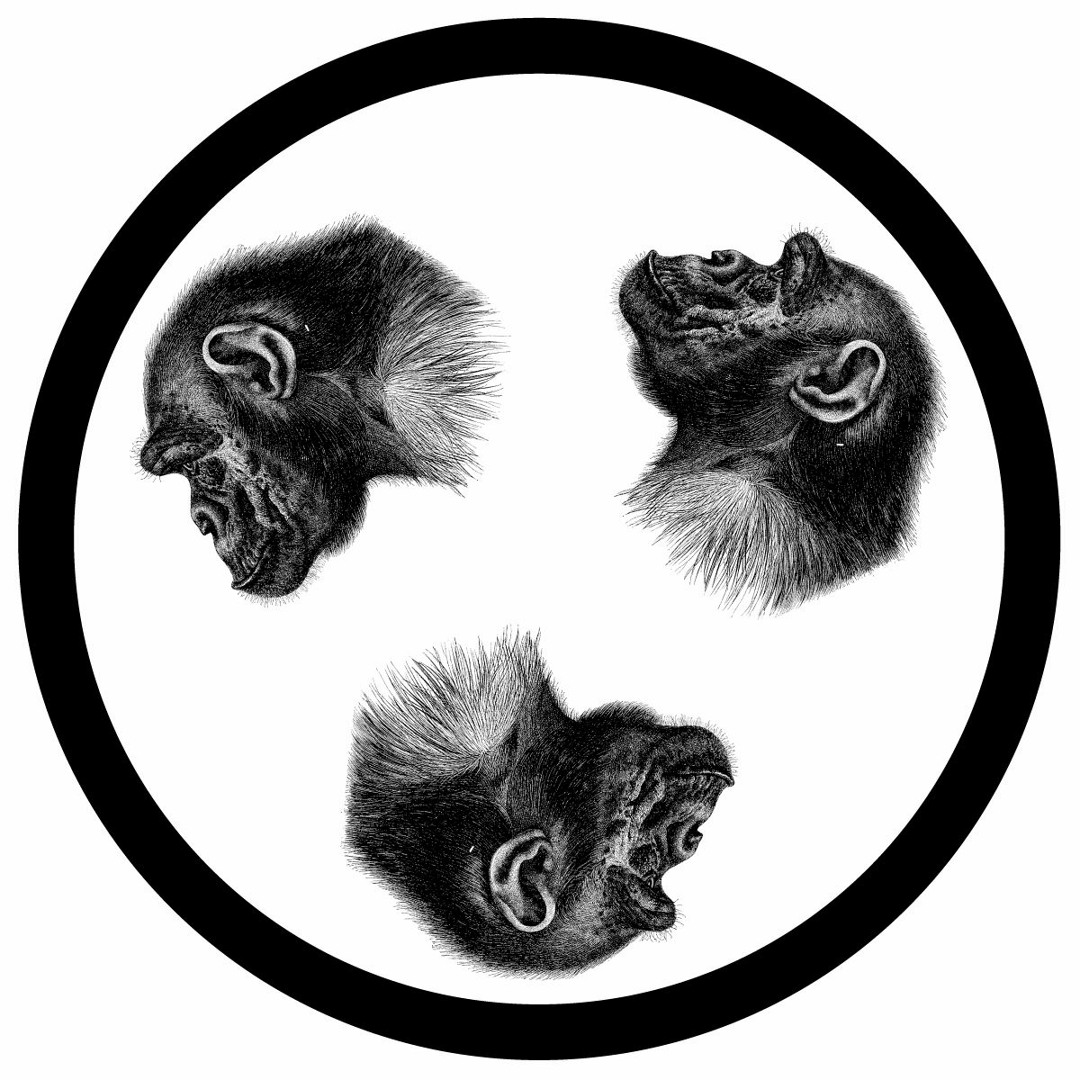 Stream Little Big Bee music | Listen to songs, albums, playlists