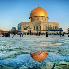 حلا فريحات