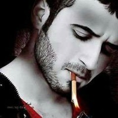 عمار قطيش
