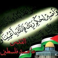 تقى سمير
