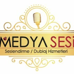 medyasesi.com