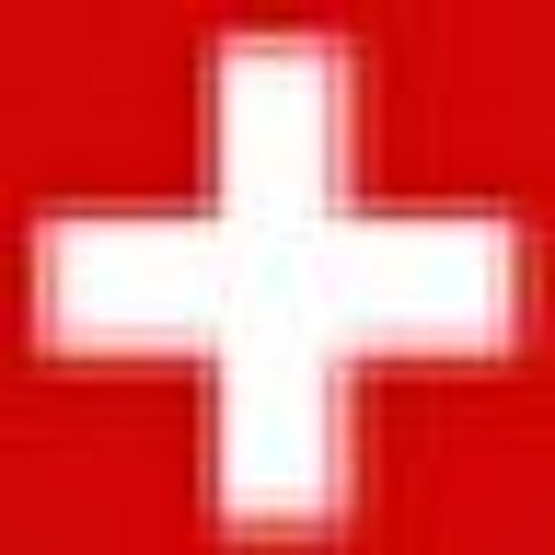 The Swiss Holidays’s avatar