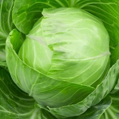 Cabbage x Razz
