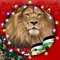 Ahmed Diaa
