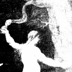 音楽 SINNERS CLUB ASSN. 神