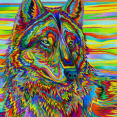 Abelardo Gonzalez Morin