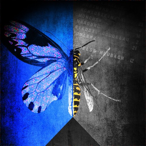 For Flying Insects Sample