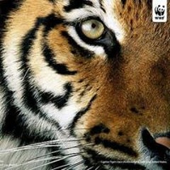 Elena Briones Alonso