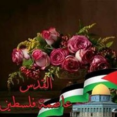 شيماء الامير