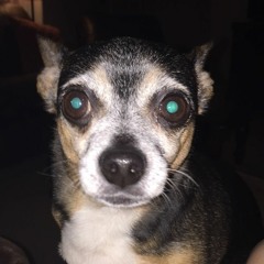 Enriquetina Suavatina Lopez