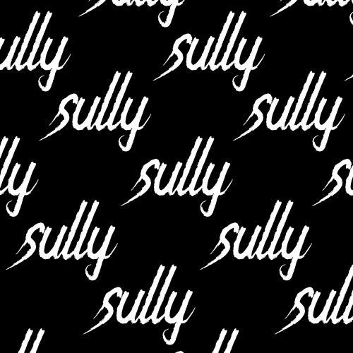 Sully’s avatar