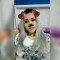 Caroliny Fagundes