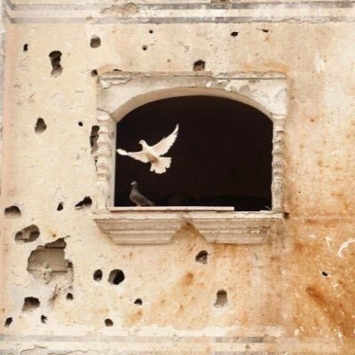 سُقيا لقلبك💛*عمير شميم🕊