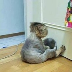 Nguyễn Công Tiến