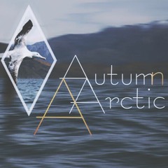 Autumn Arctic