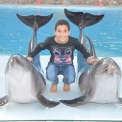 Younis Ali ElYamany