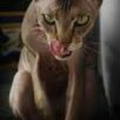 Виталий Смирнов