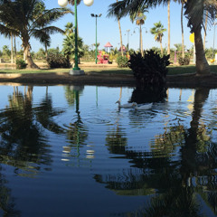 Yasser Almazroia . islam