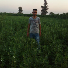 عمرو عبدالمقصود